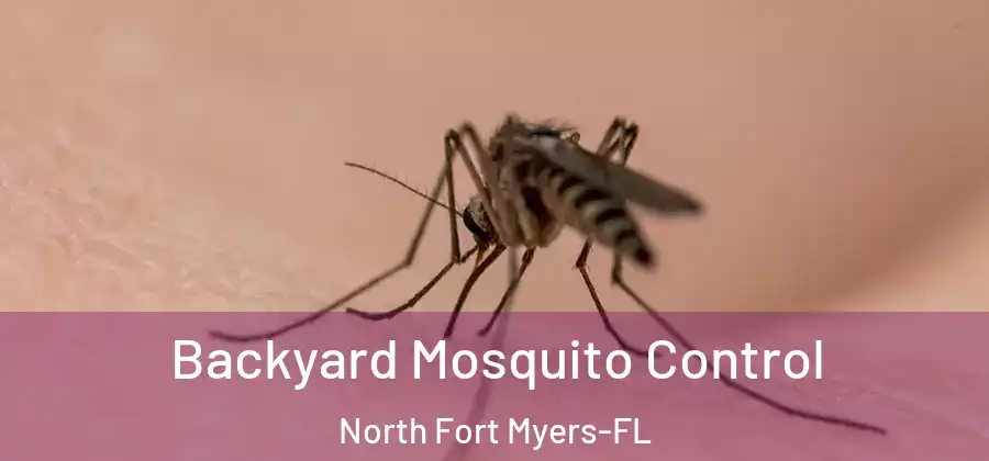 Backyard Mosquito Control North Fort Myers-FL