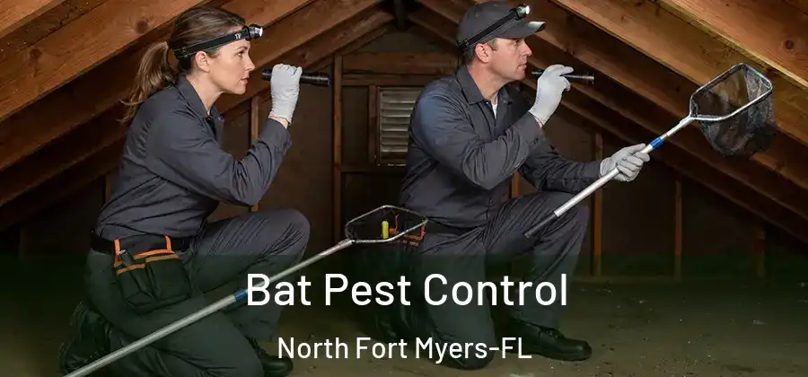 Bat Pest Control North Fort Myers-FL