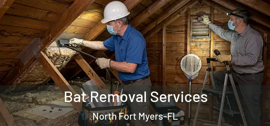 Bat Removal Services North Fort Myers-FL