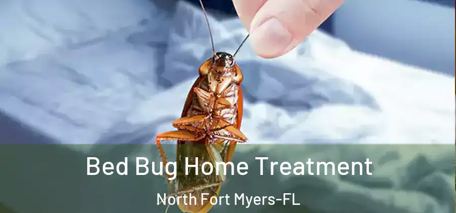Bed Bug Home Treatment North Fort Myers-FL