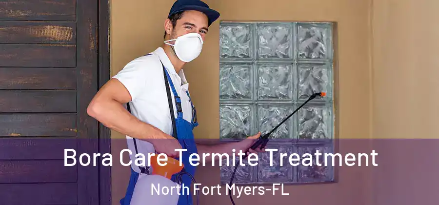 Bora Care Termite Treatment North Fort Myers-FL