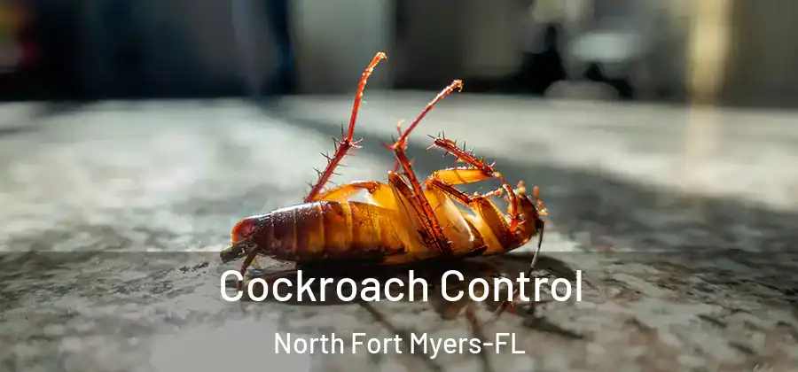 Cockroach Control North Fort Myers-FL