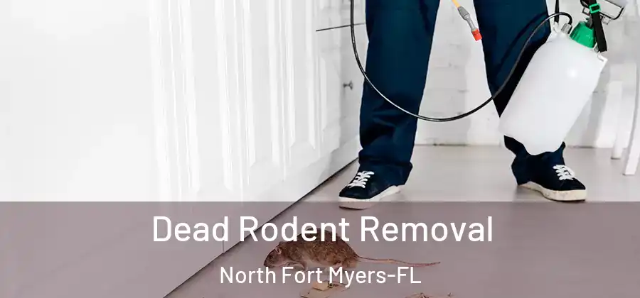 Dead Rodent Removal North Fort Myers-FL