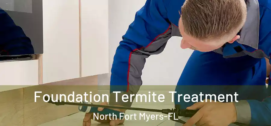 Foundation Termite Treatment North Fort Myers-FL