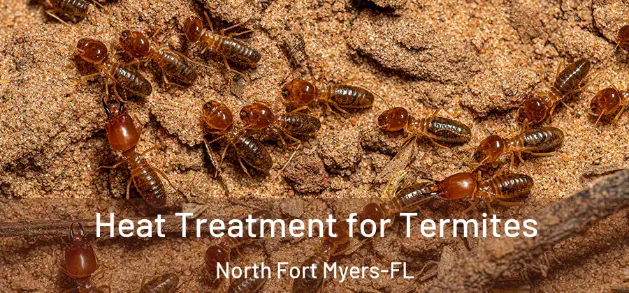 Heat Treatment for Termites North Fort Myers-FL