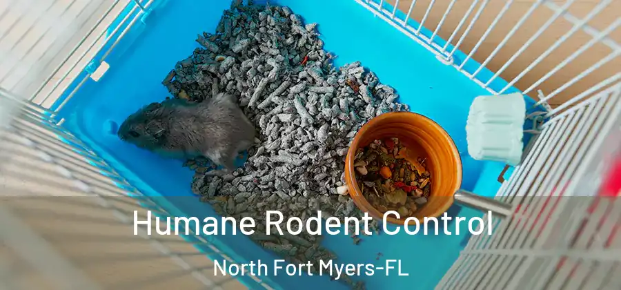 Humane Rodent Control North Fort Myers-FL