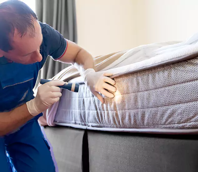 Trusted Bed Bug Cost Experts in North Fort Myers, FL