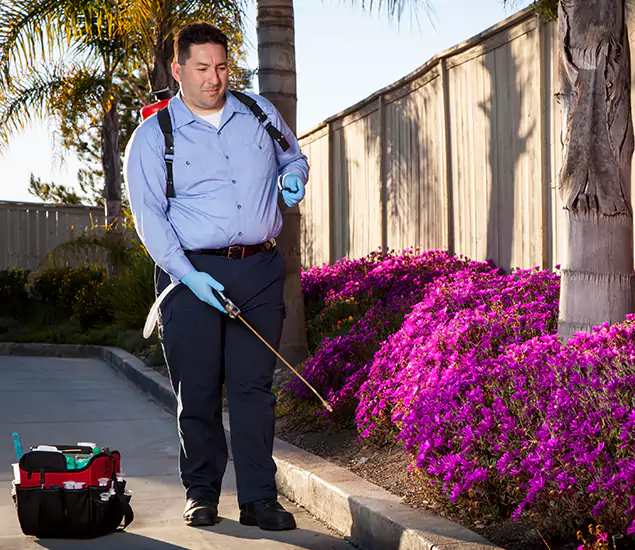 About Our Eco Safe Pest Control Experts in North Fort Myers, FL