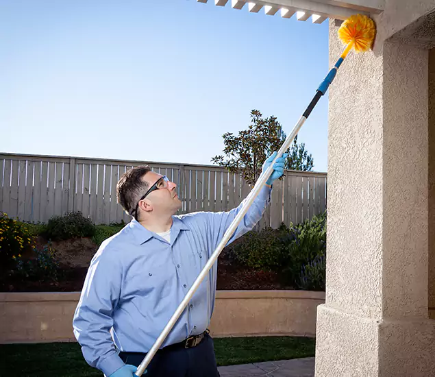 Trusted Experts in North Fort Myers FL for Formosan Termite Treatment and Black Termite Control