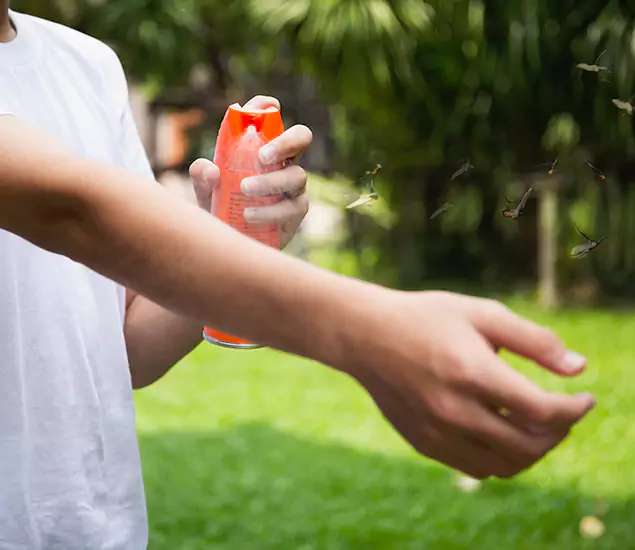 Your Best Indoor Bug Killer Team in North Fort Myers, FL