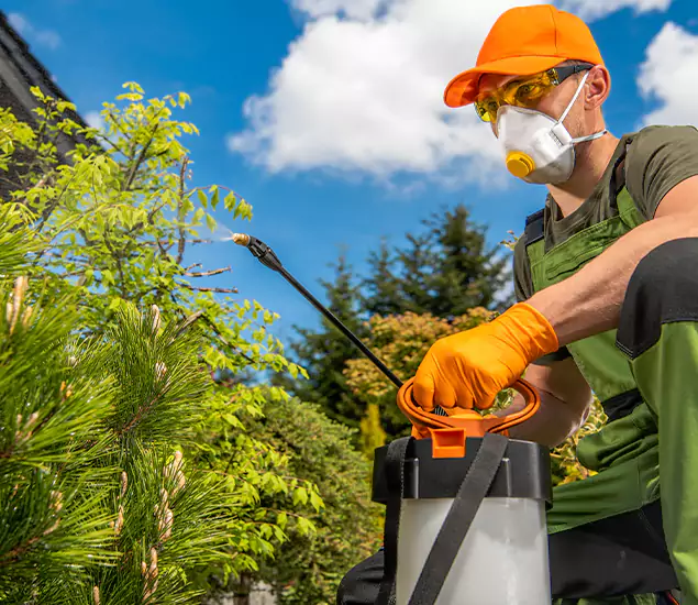 Your Mosquito Repellent Barrier Service in North Fort Myers, FL