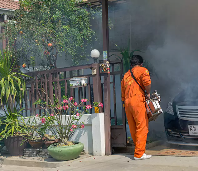 Your Proven Mosquito Fogging Company in North Fort Myers, FL