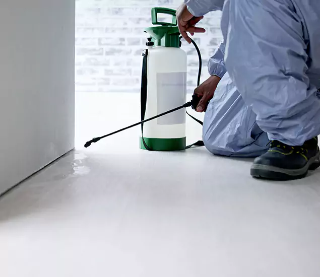 Affordable Pest Control Experts in North Fort Myers, FL