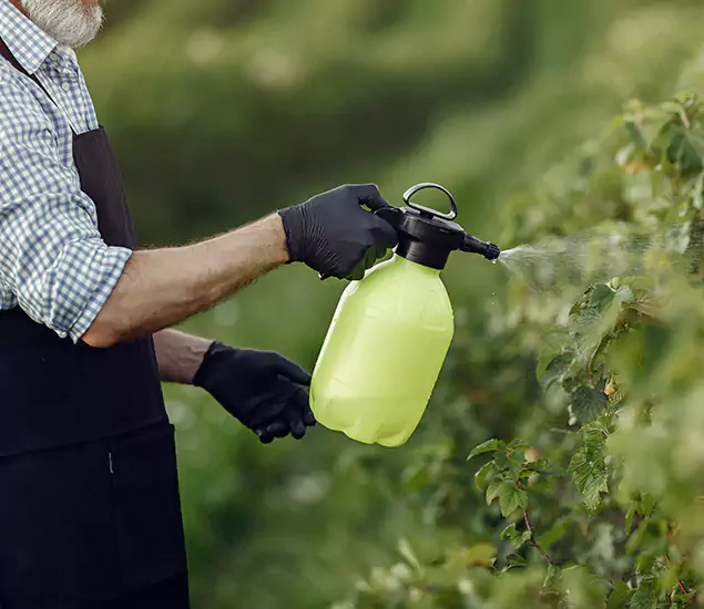 Pest Management Services