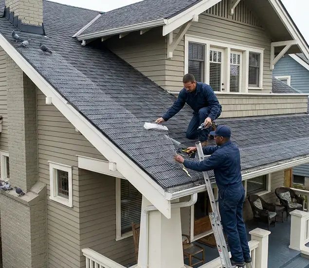 Your Pigeon Control Experts in North Fort Myers, FL