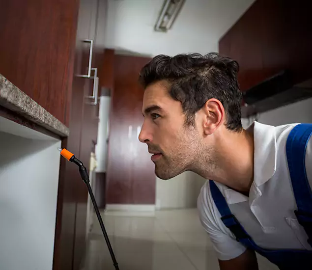 Expert Rodent in Attic Removal: Your Proven Pest Specialists in North Fort Myers, FL
