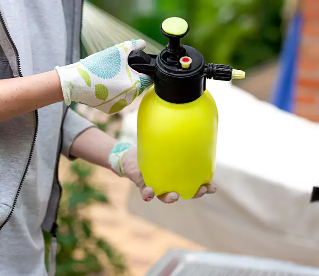 Skilled Residential Small Black Ant Service in North Fort Myers, FL