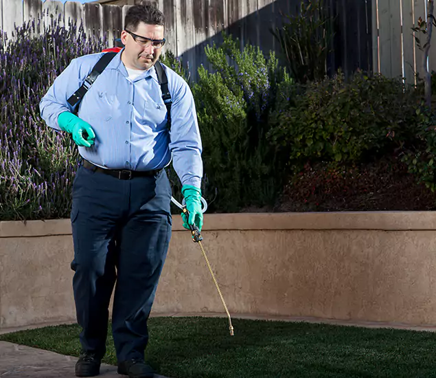 Reliable Termite Barrier Treatment Experts in North Fort Myers, FL