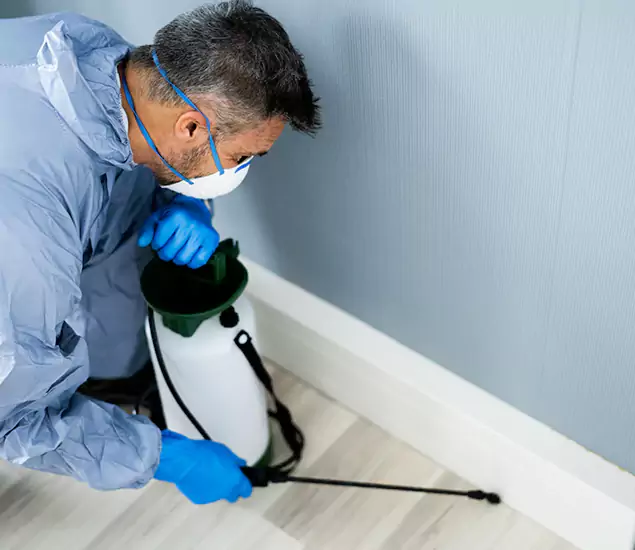 Reliable Termite Cost Experts in North Fort Myers, FL