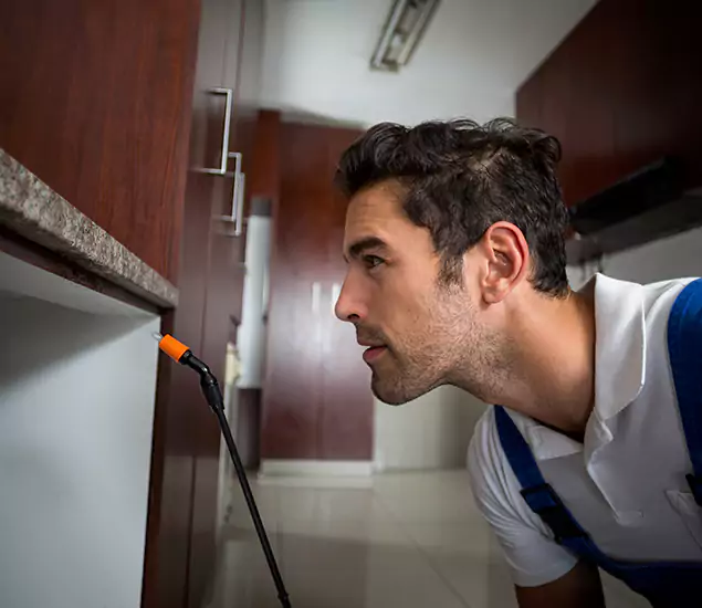 Termite Inspection Cost Experts You Can Trust in North Fort Myers, FL