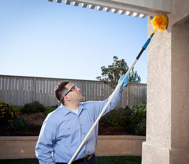 Your Trusted Wasp Removal Company in North Fort Myers, FL
