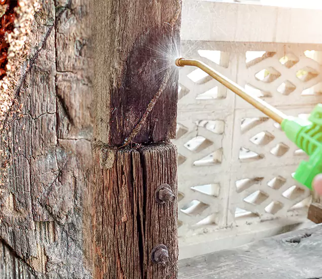 About Wood Termite Treatment Services in North Fort Myers, FL