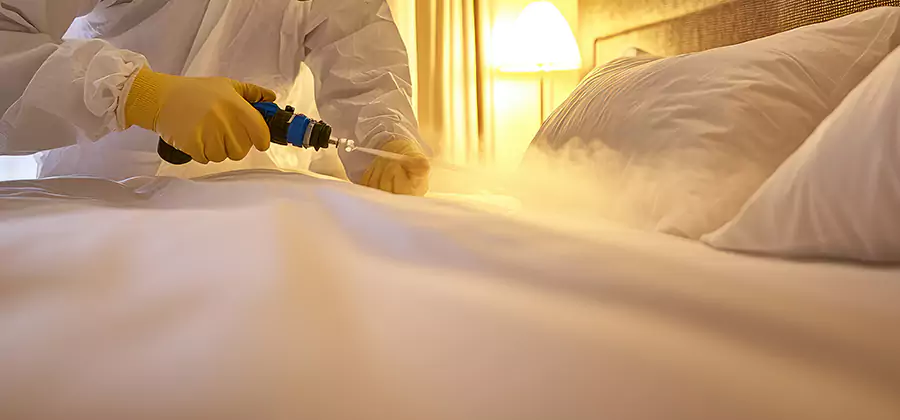 Bed Bug Steam Treatment Services in North Fort Myers