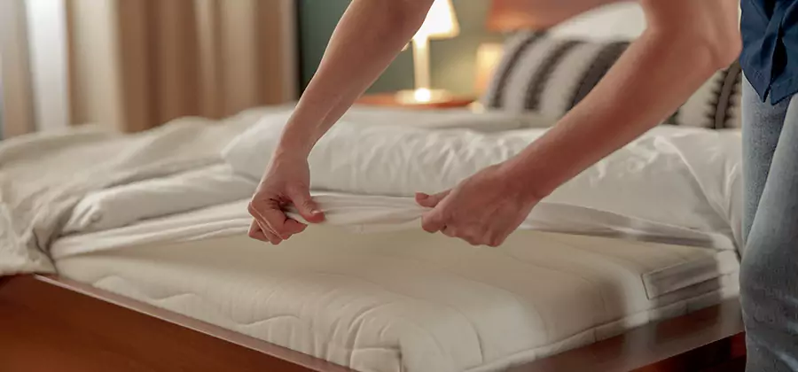 Bed Bug Extermination Services in North Fort Myers