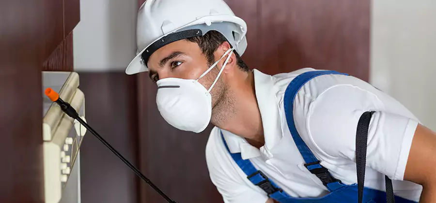 Injection Foam Treatment for Drywood Termites in North Fort Myers