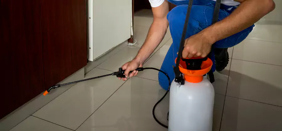 Indoor Mosquito Treatment in North Fort Myers