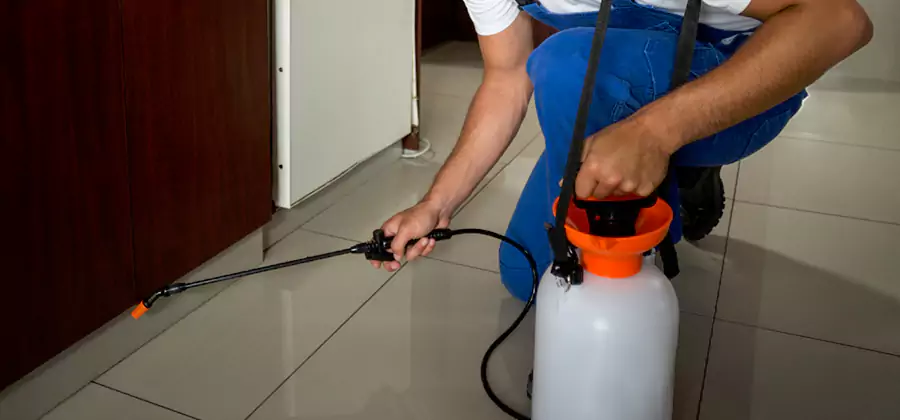 Indoor Insect Killer Solutions in North Fort Myers