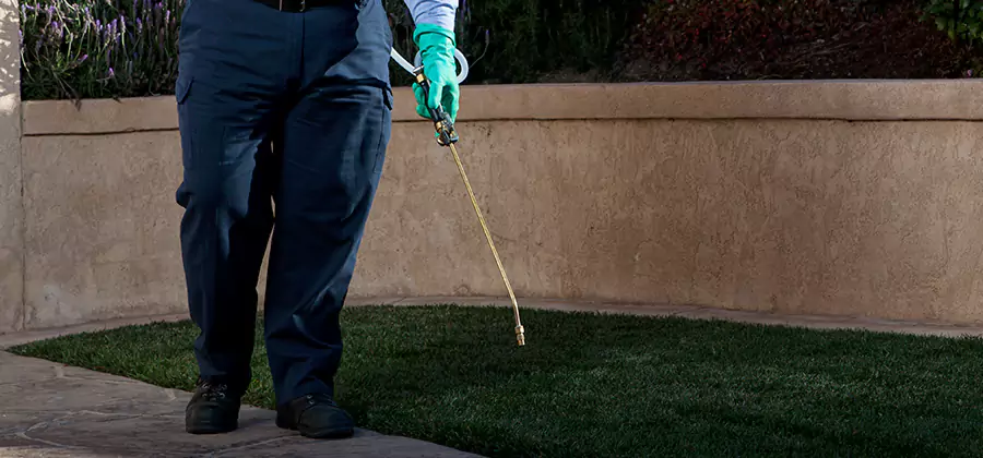 Soil Treatment for New Construction Termites in North Fort Myers