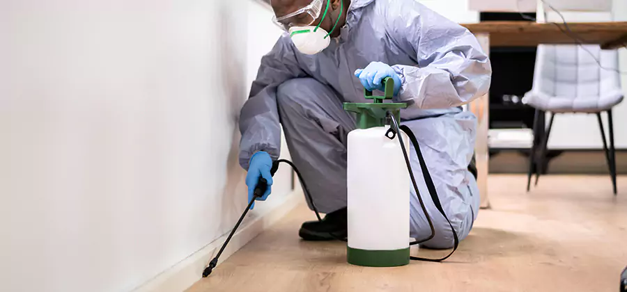 No Tent Termite Extermination With Electric Tool in North Fort Myers