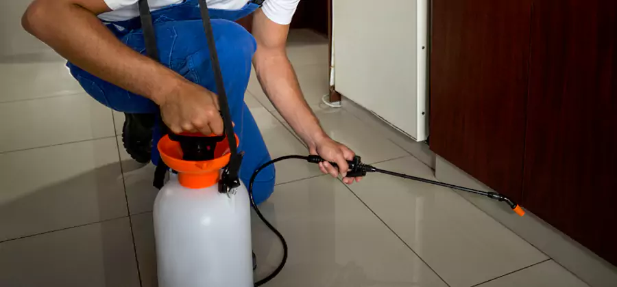 One Time Termite Control in North Fort Myers