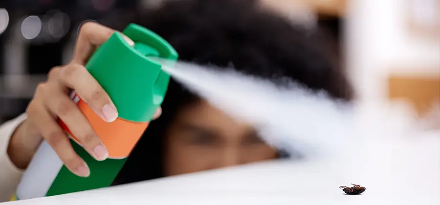 Child Safe Bed Bug Treatment in North Fort Myers