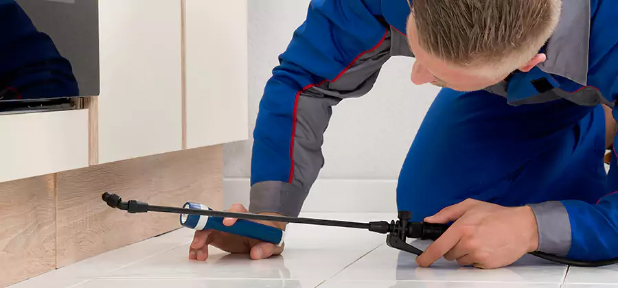 Moisture Treatment For Termite Control Service in North Fort Myers