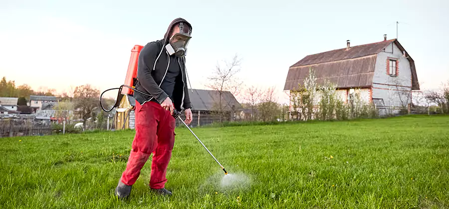 Flea and Tick Pest Control in North Fort Myers