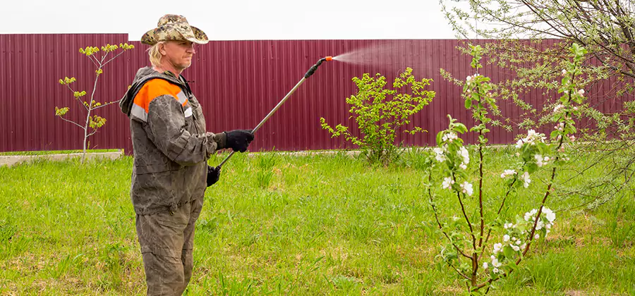 Flea and Tick Spray for Yard in North Fort Myers