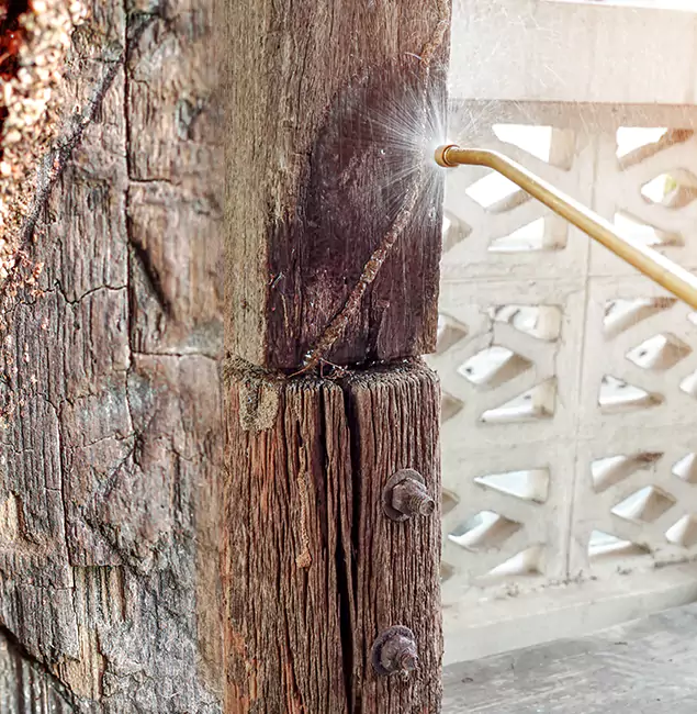Why Choose North Fort Myers Pest Control Pro for Attic Termite Treatment in North Fort Myers, FL?