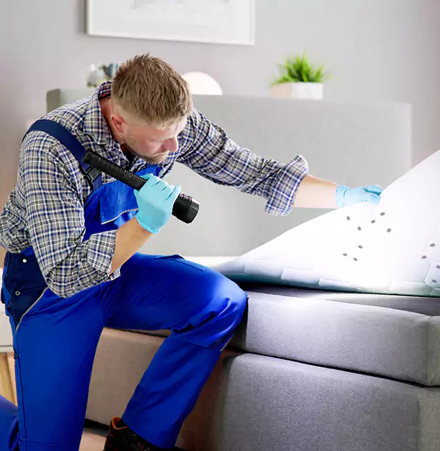 Why Choose North Fort Myers Pest Control Pro For Bed Bug Heat Treatment in North Fort Myers, FL?