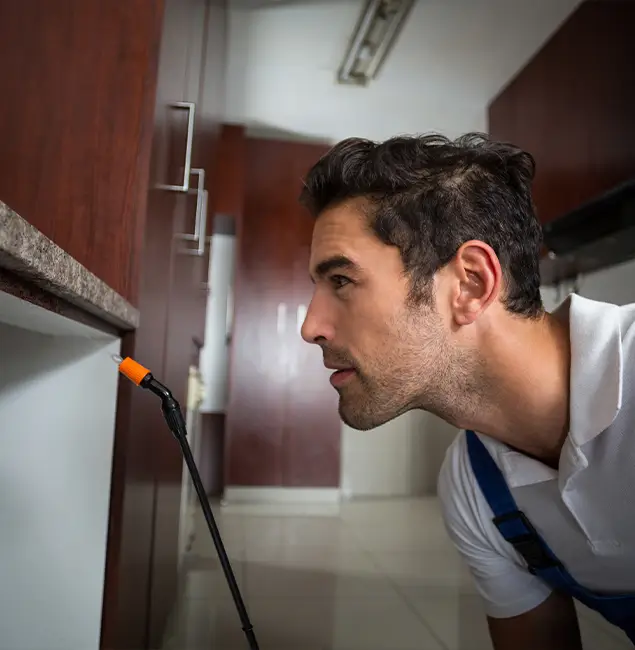 Why Choose North Fort Myers Pest Control Pro for Bed Bug Removal Cost in North Fort Myers, FL?