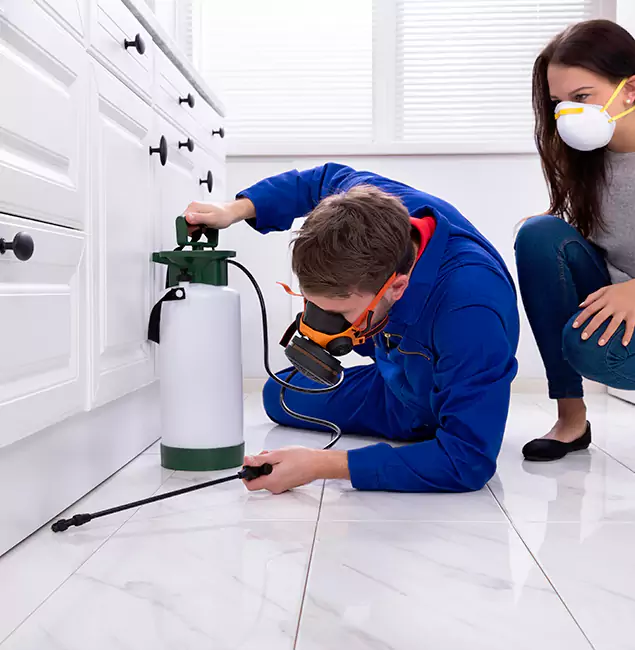 Why Choose North Fort Myers Pest Control Pro in North Fort Myers, FL?