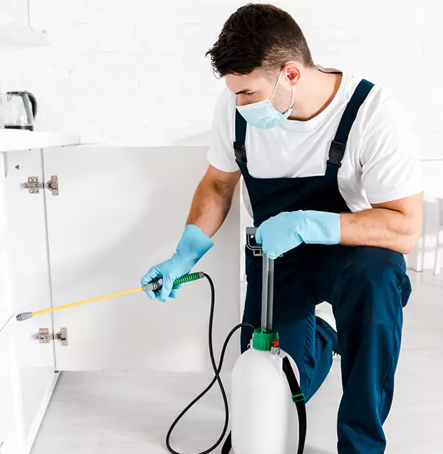 Why Choose North Fort Myers Pest Control Pro for Emergency Pest Control in North Fort Myers?