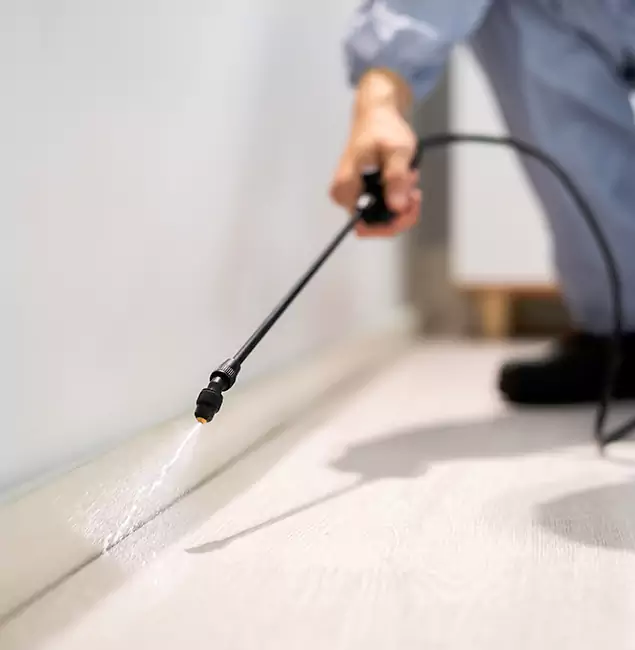 Why Choose North Fort Myers Pest Control Pro for Termite Treatment in North Fort Myers, FL?