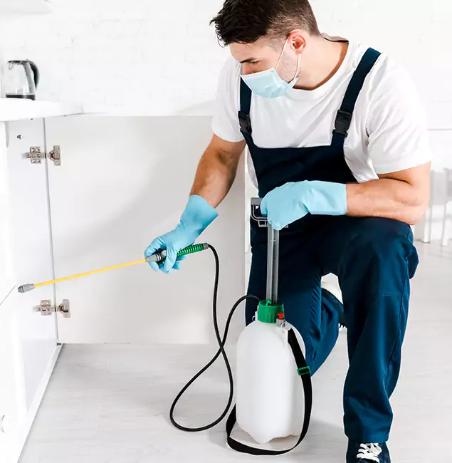 Why North Fort Myers, FL Homeowners Trust Us for German Roach Control?