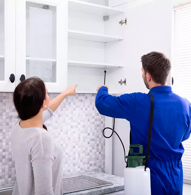 Why North Fort Myers Property Owners Choose North Fort Myers Pest Control Pro for Ground Bee Removal?