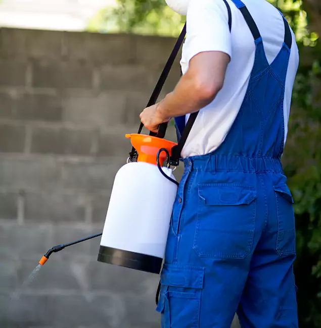 Why North Fort Myers Homeowners Rely on North Fort Myers Pest Control Pro for Mosquito Control?