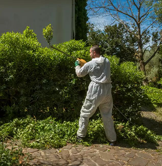 Why North Fort Myers Pest Control Pro Leads Mosquito Control in North Fort Myers, FL?