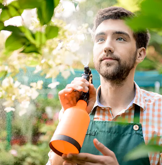 Why North Fort Myers Pest Control Pro Is the Best Mosquito Control Company in North Fort Myers, FL?
