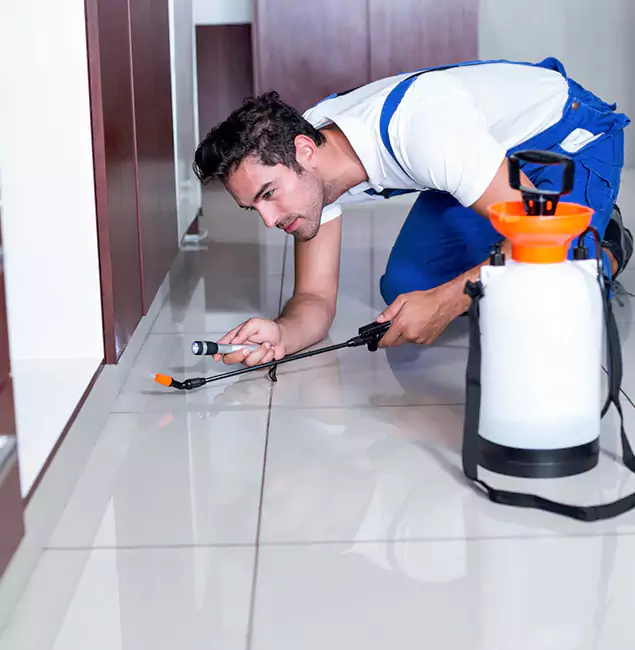 Why North Fort Myers Pest Control Pro Is the Proven Choice in North Fort Myers, FL?